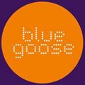 Blue Goose Agency